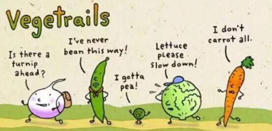 Random Funny Puns And Jokes