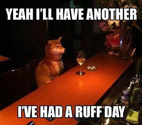 Random Funny Puns And Jokes