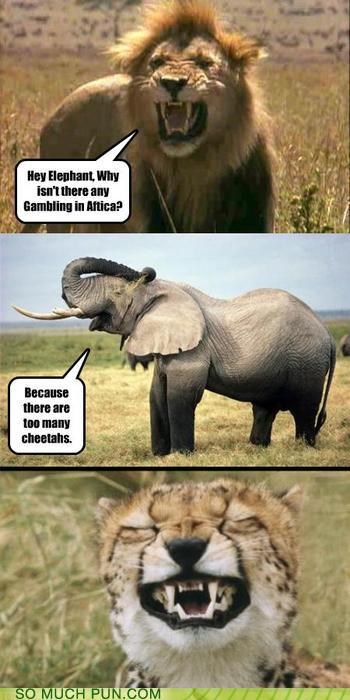 Random Funny Puns And Jokes