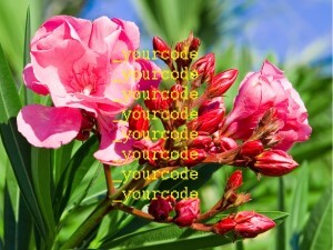 Beautify Code Snippets