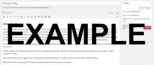 Legull Private Policy and Terms of Service Generator Plugin Screenshot 9
