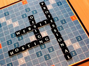 Web Hosting Service Provider
