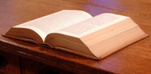 Book Showing All The Sections Of The Companies Act, 2013